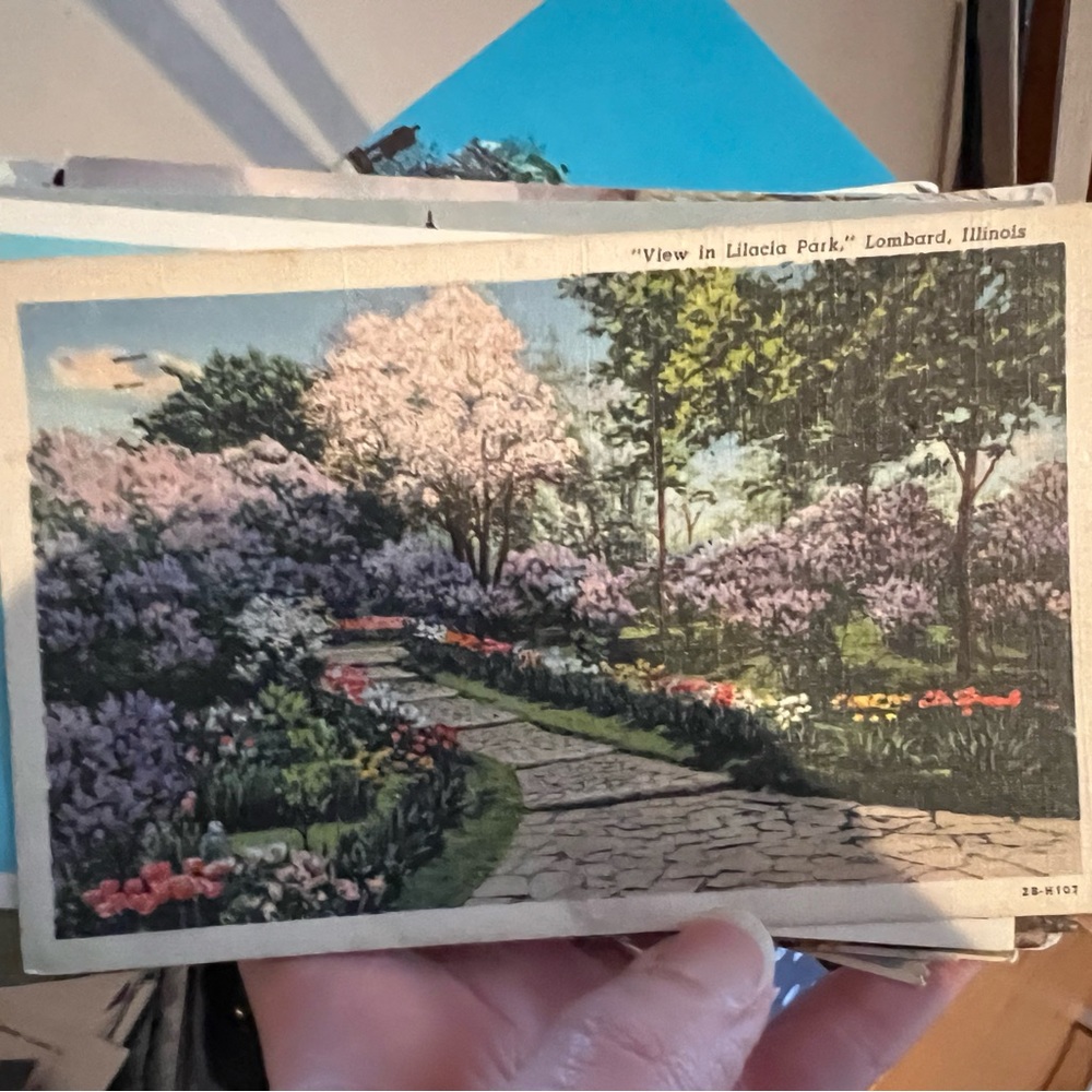 Mixed American postcards
